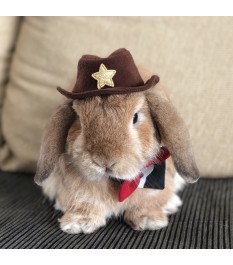 Cowboy style pet hat