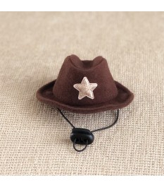 Cowboy style pet hat