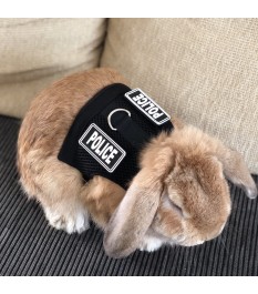 Police-style pet chest back...