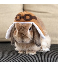 Brown-toned pilot pet hat...
