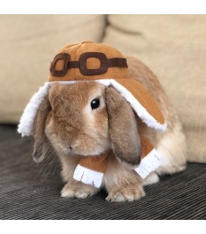 Brown-toned pilot pet hat...