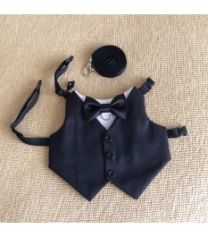 Elegant gentleman style pet...