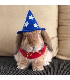 Blue pet magic hat with stars