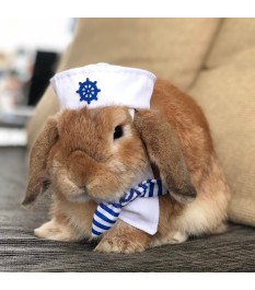 Pet Sailor Style Suit