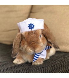 Pet Sailor Style Suit