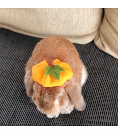 Orange pumpkin shaped pet hat