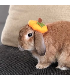 Orange pumpkin shaped pet hat