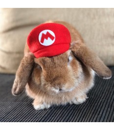 Super Mario Red Pet Hat