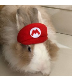 Super Mario Red Pet Hat