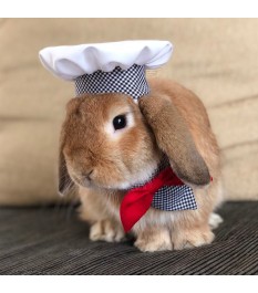Super cute pet chef hat