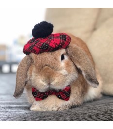 Pet red and black plaid beret