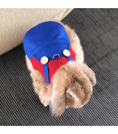 Super Mario themed pet...