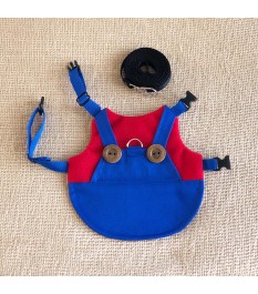 Super Mario themed pet...