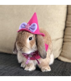 Pink cute pet magic hat