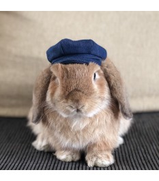 Pet denim newsboy hat