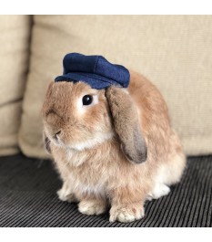 Pet denim newsboy hat