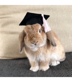 Pet hat with tassel...