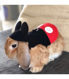Mickey-shaped pet clothes