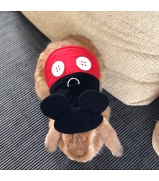 Mickey-shaped pet clothes