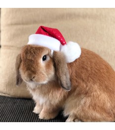 Pet Santa hat with plush...