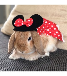 Minnie classic image pet...