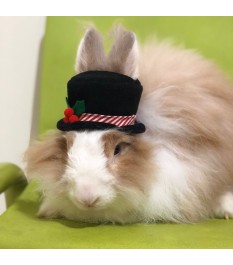 Classic black pet hat